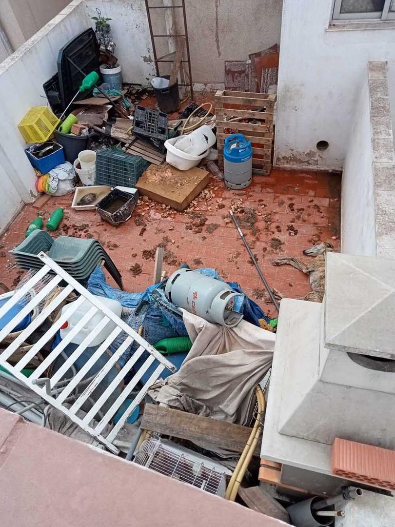 Imagen de la terraza y de uno de los perros tumbado en el suelo