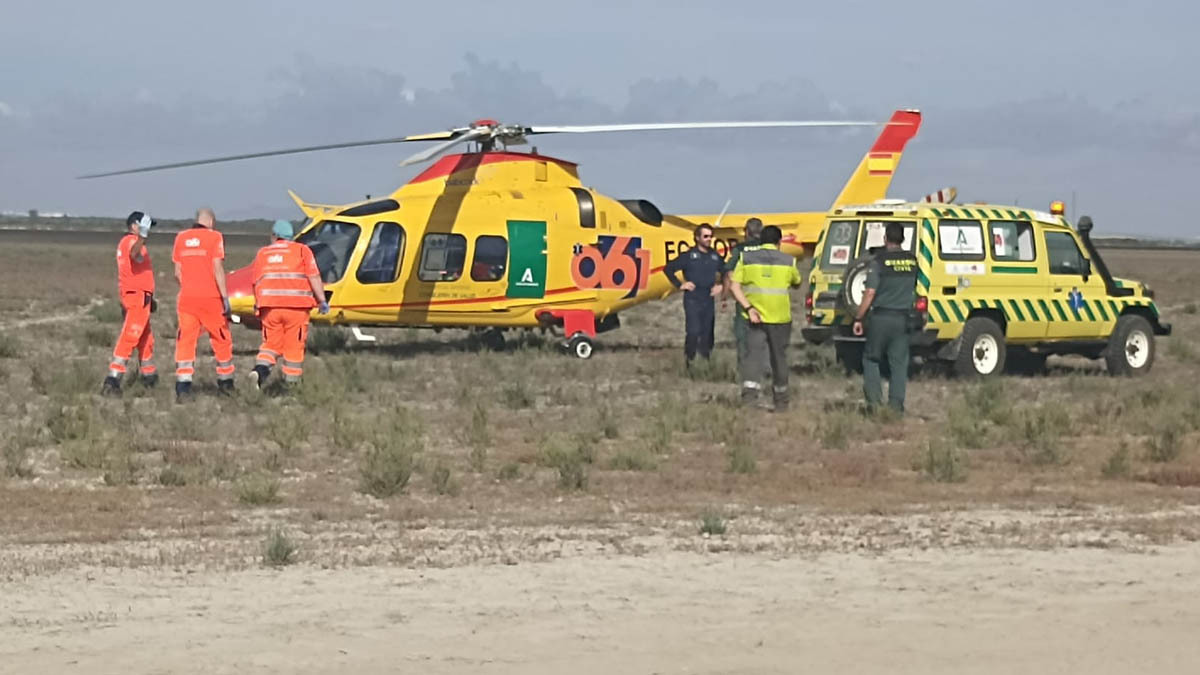 Un tractor atropella a un romero de la Hermandad del Rocío de Jerez de la Frontera en Almonte