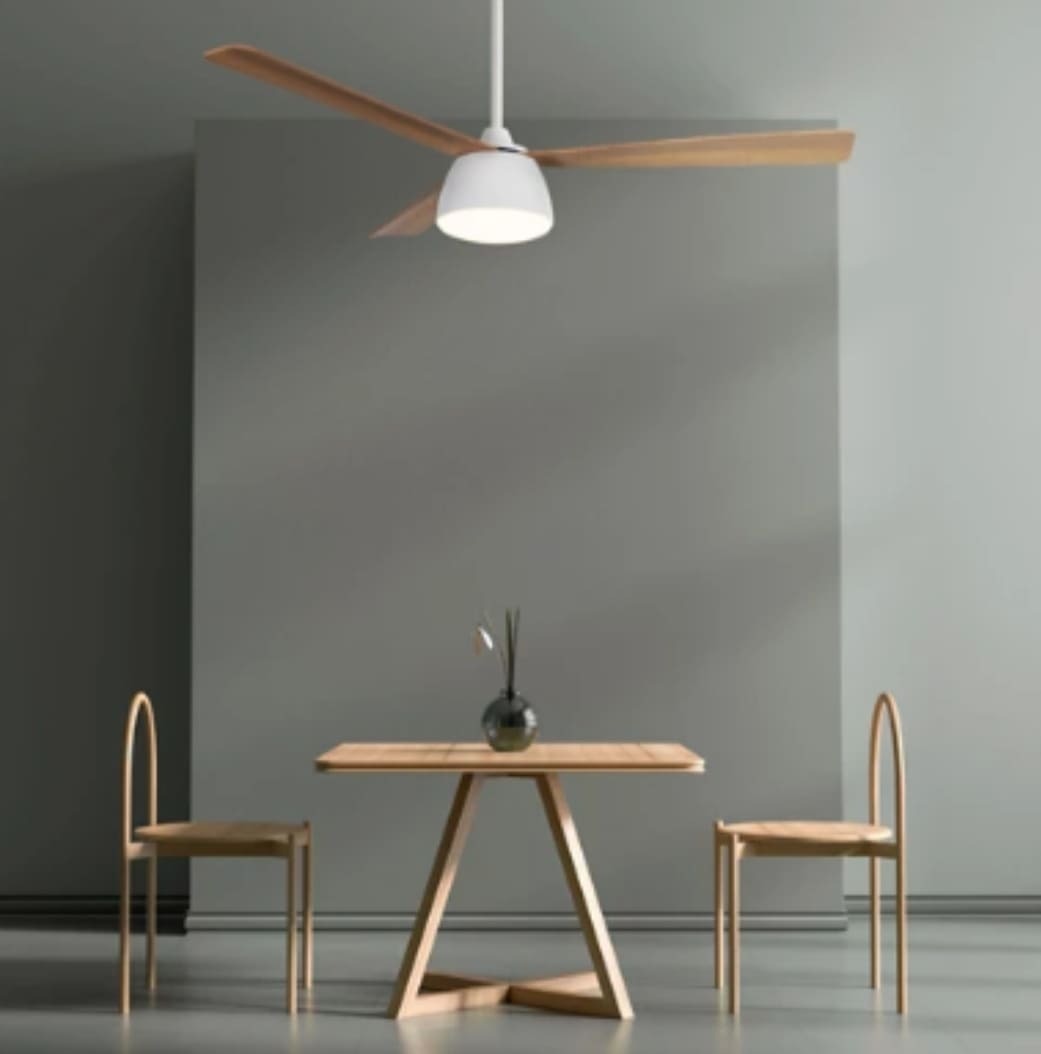 Ventilador de techo DC FUNGO