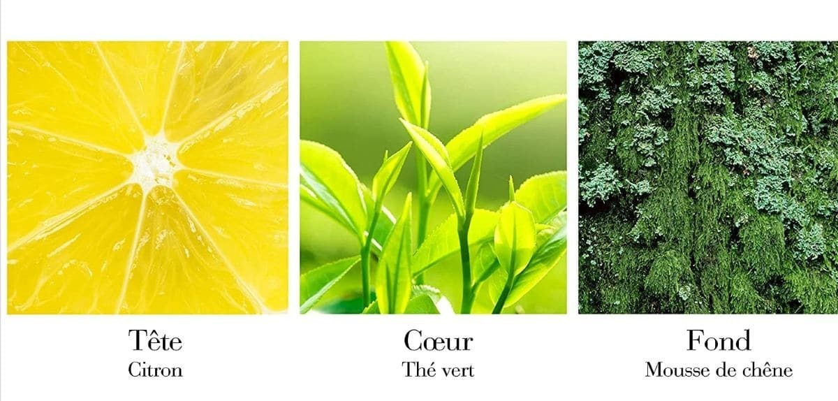 Ingredientes Green Tea Scent Spray