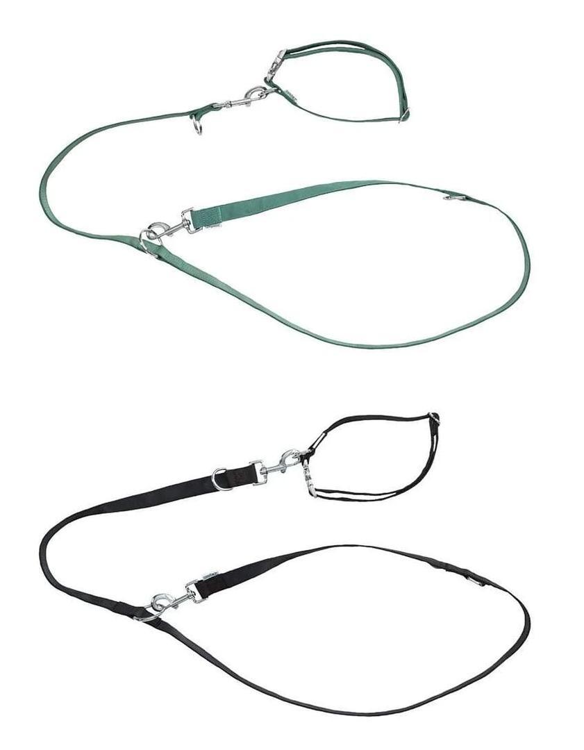 Set de collar y correa para perro grande