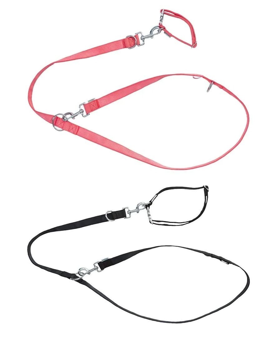 Set de collar y correa para perro pequeño