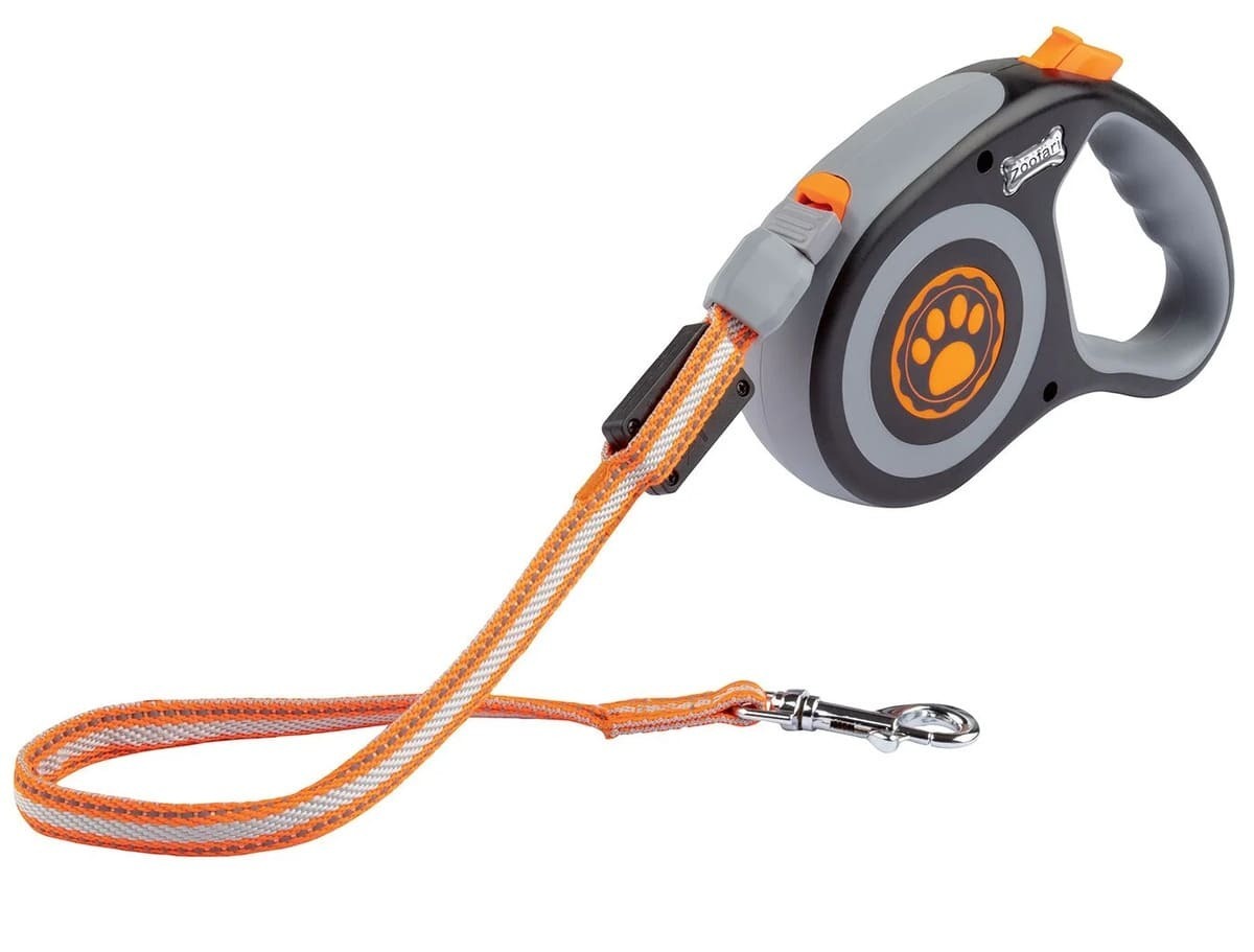 Correa extensible con LED para perro pequeño