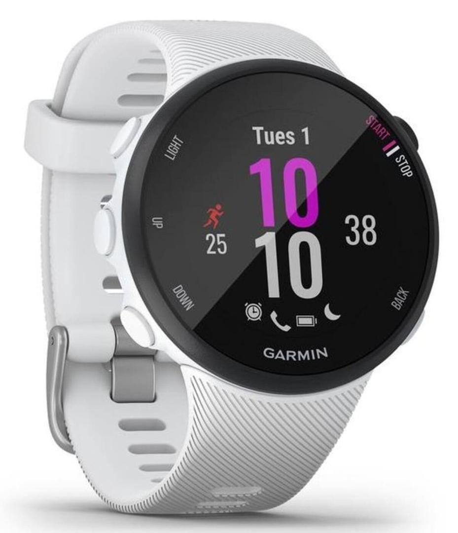 Reloj Garmin Forerunner 45 S