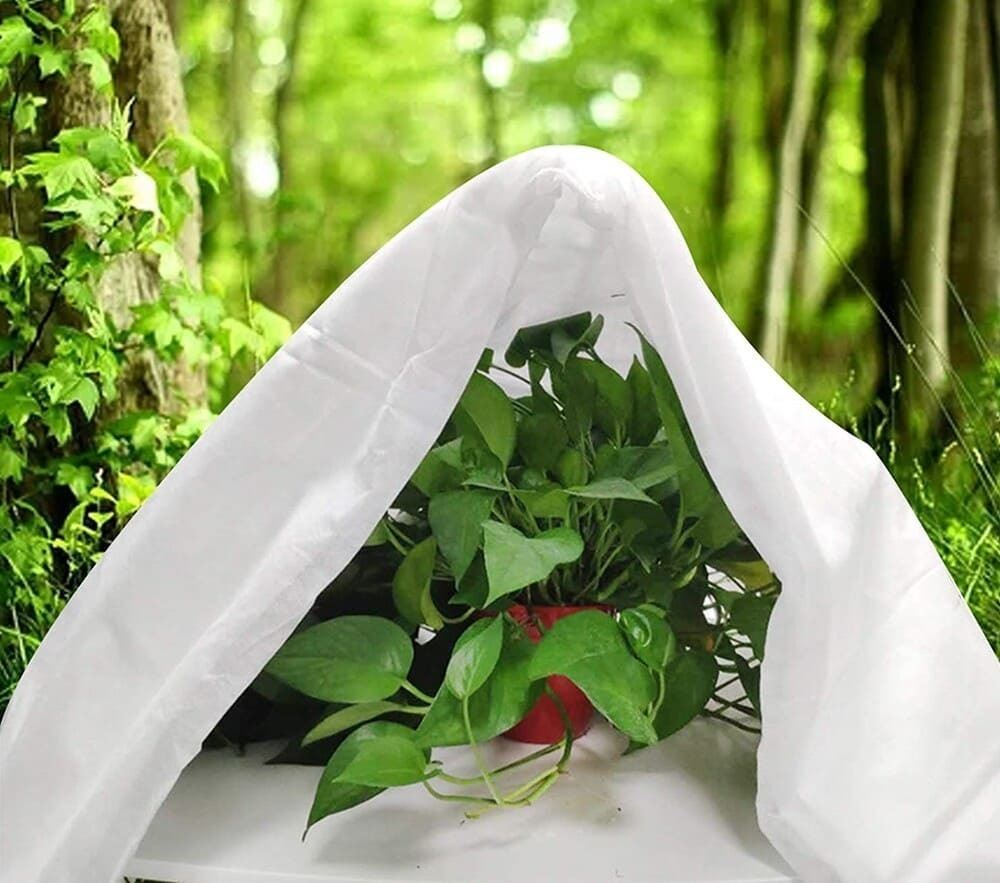 Protectores para Plantas Reutilizable Bestine