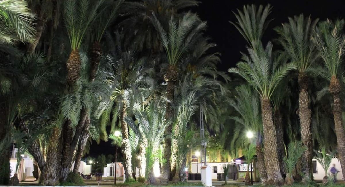 El Camino del Palmeral en la localidad almeriense de Vera