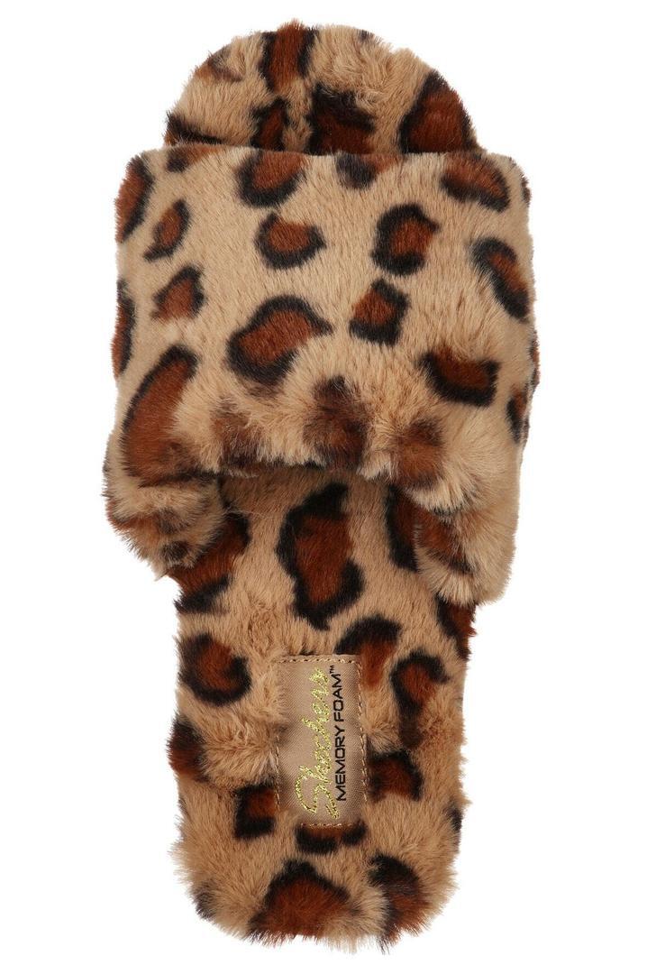 ​

Cozy Slide - Wild Night

​