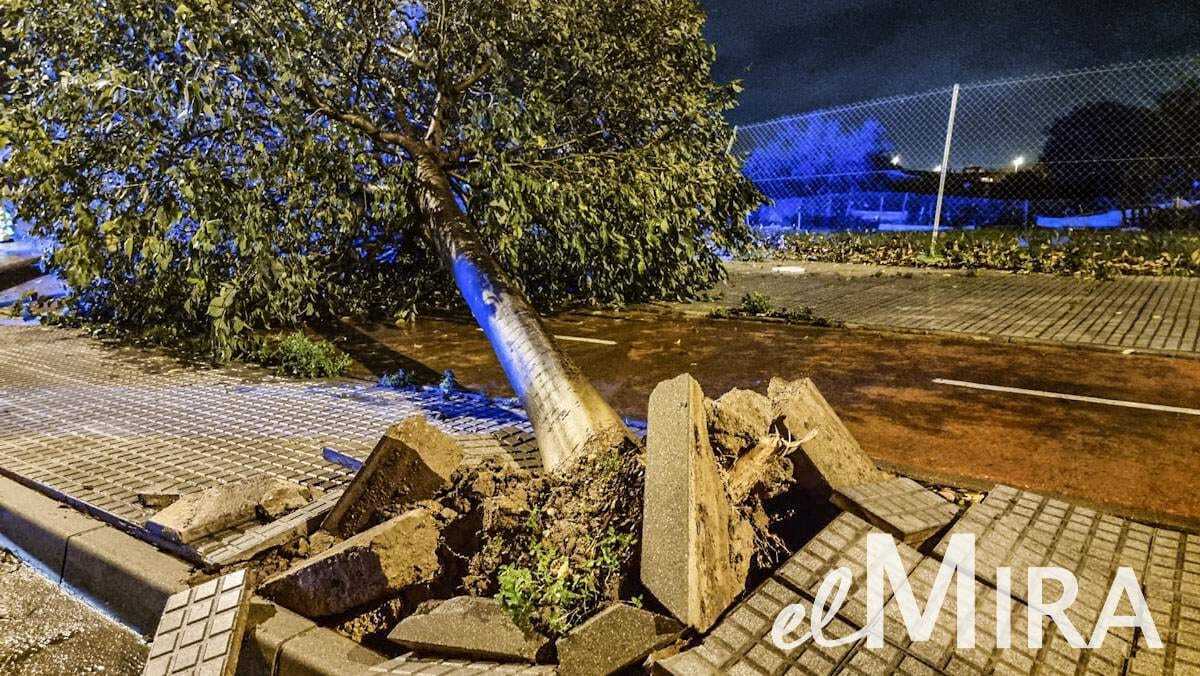 El tornado se ha desencadenado en plena madrugada