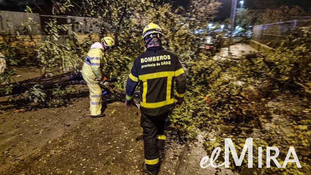 Bomberos y Policía Local se han desplazado hasta el lugar de los hechos