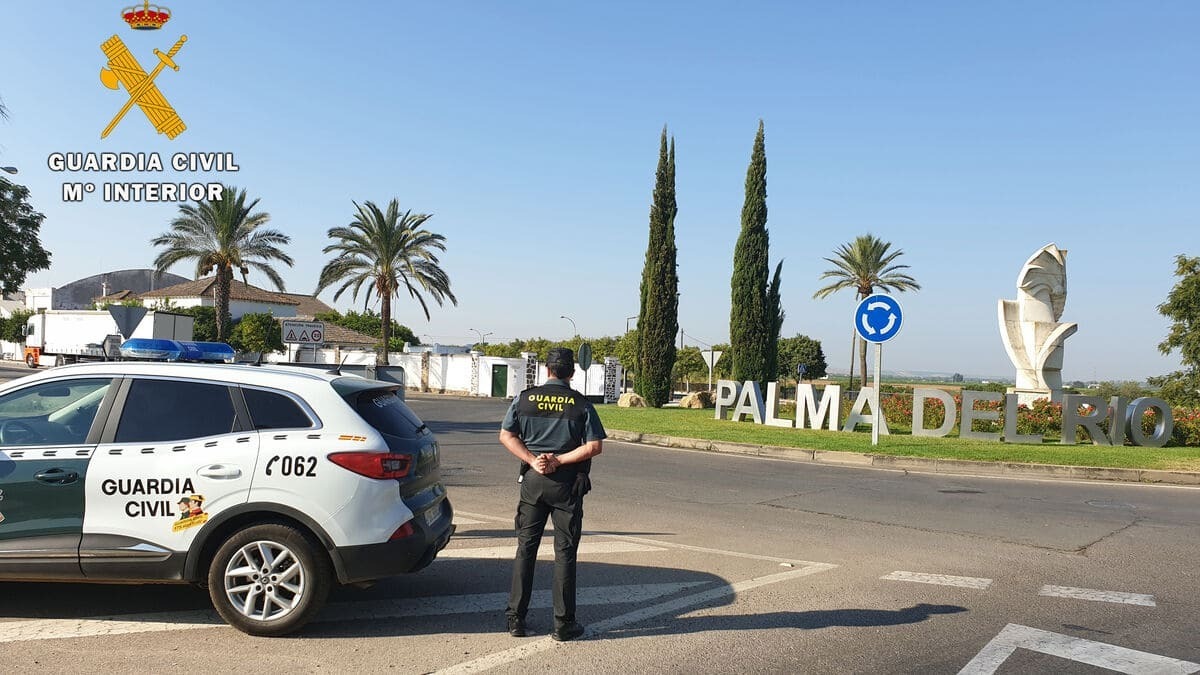 La Guardia Civil de Palma del Río se ha hecho cargo de la investigación