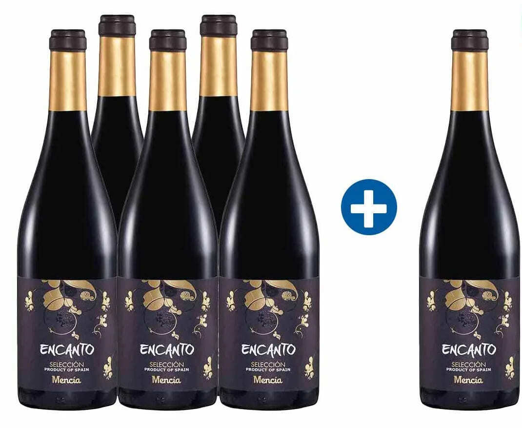 Pack 5+1 Encanto selección vino tinto