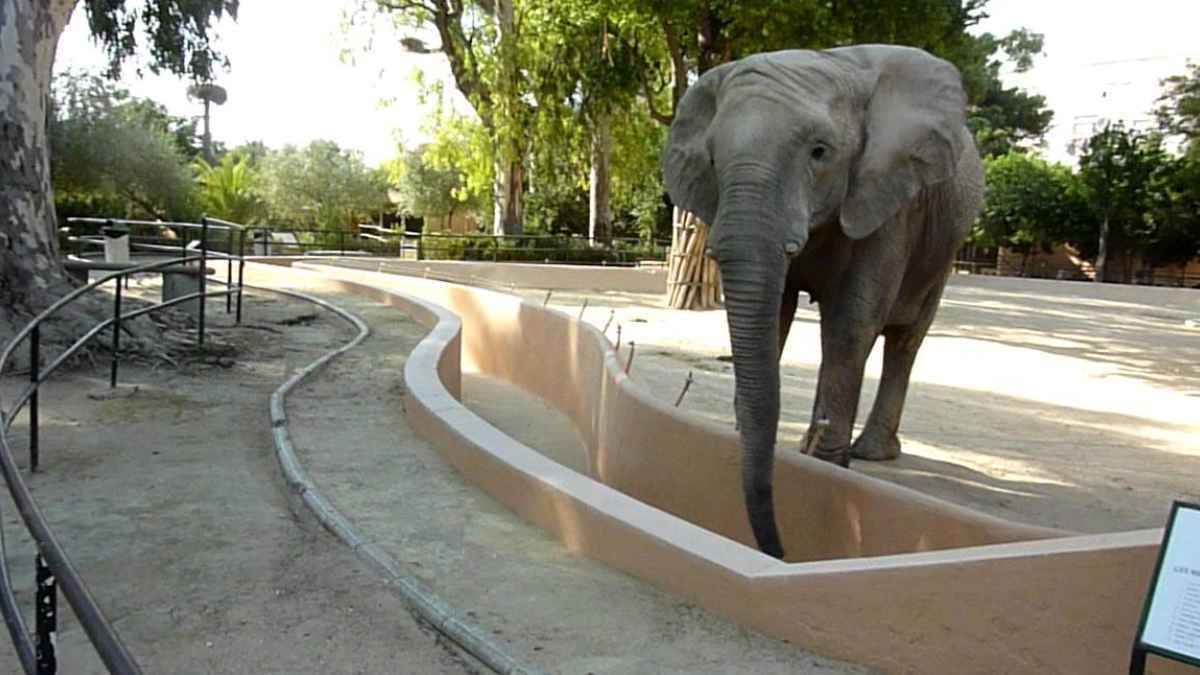 Buba en el Zoobotánico de Jerez