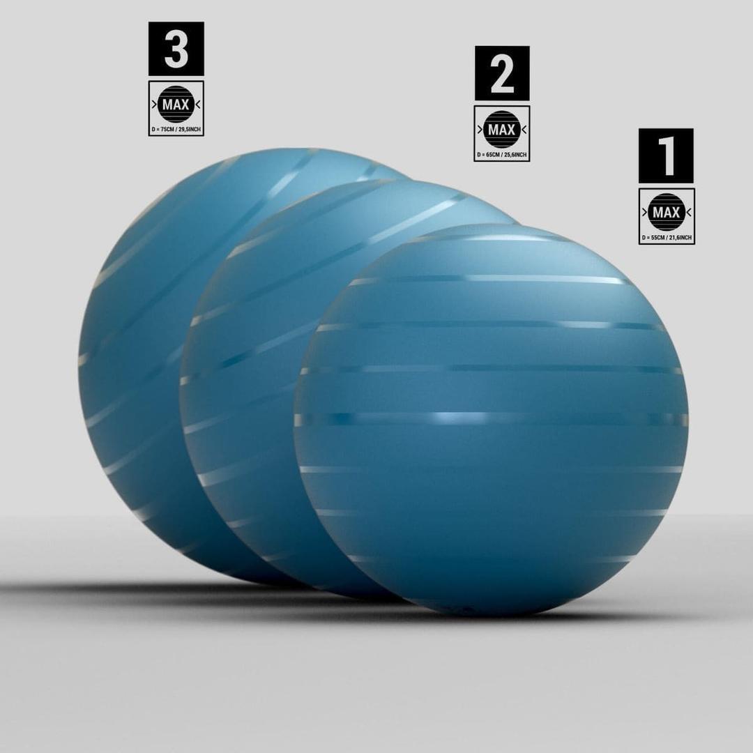 Fitball Pelota Pilates Domyos