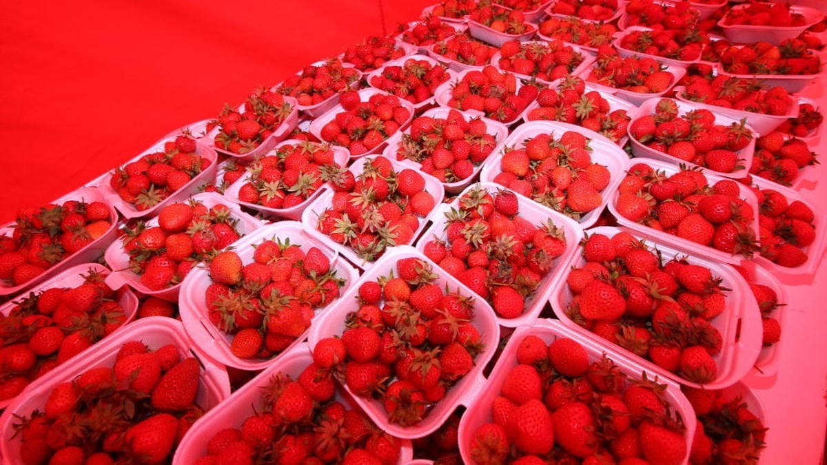 Las fresas son una fuente de vitamina C