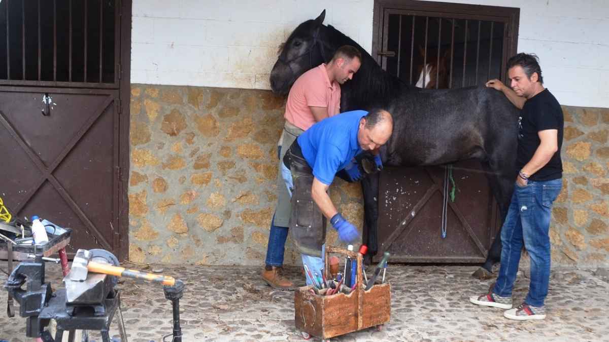 José Chacón herrando un caballo | Foto: Marciano Breña para El MIRA