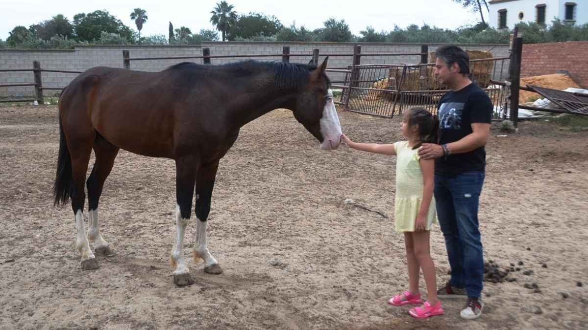 José Chacón | Foto: Marciano Breña para El MIRA