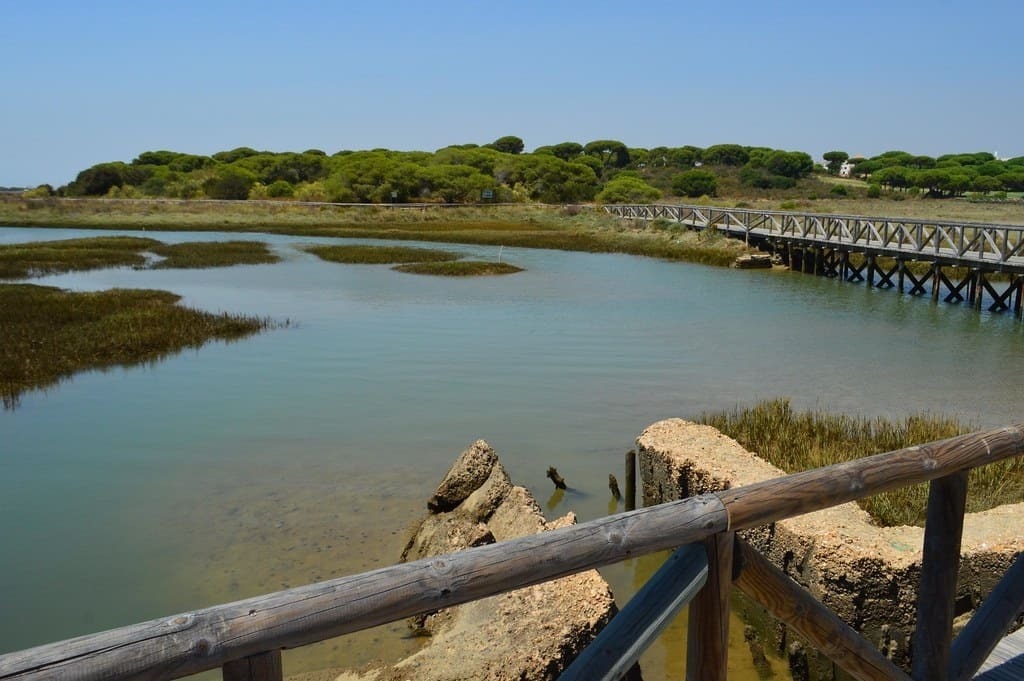 Marismas del Río Piedras en Huelva