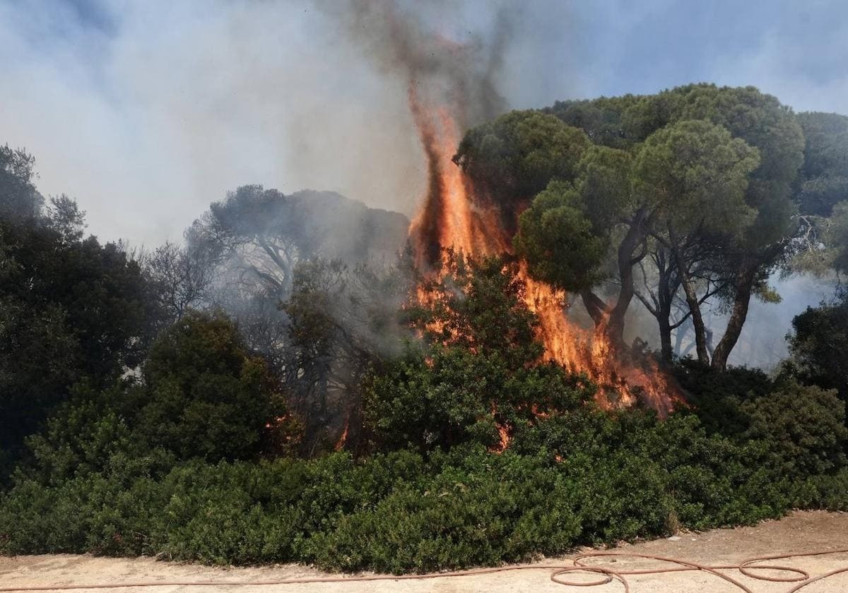 El fuego ha sembrado el pánico en la zona