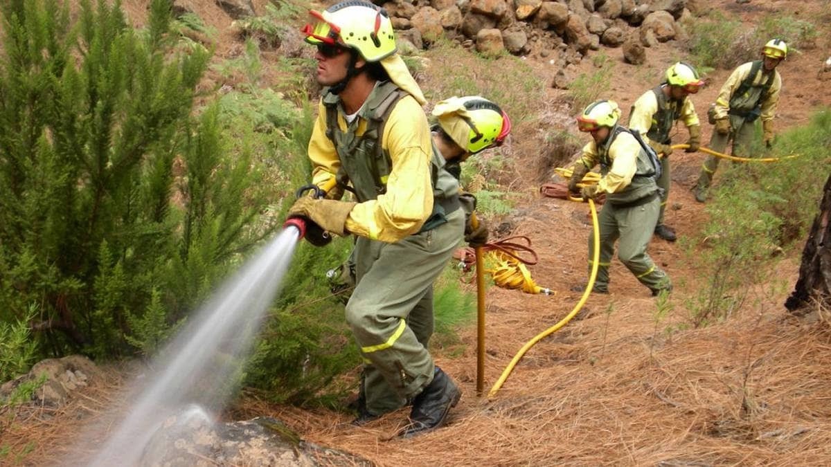Tragsa necesita personal para trabajar en Andalucía. Sueldos de 2.200 euros