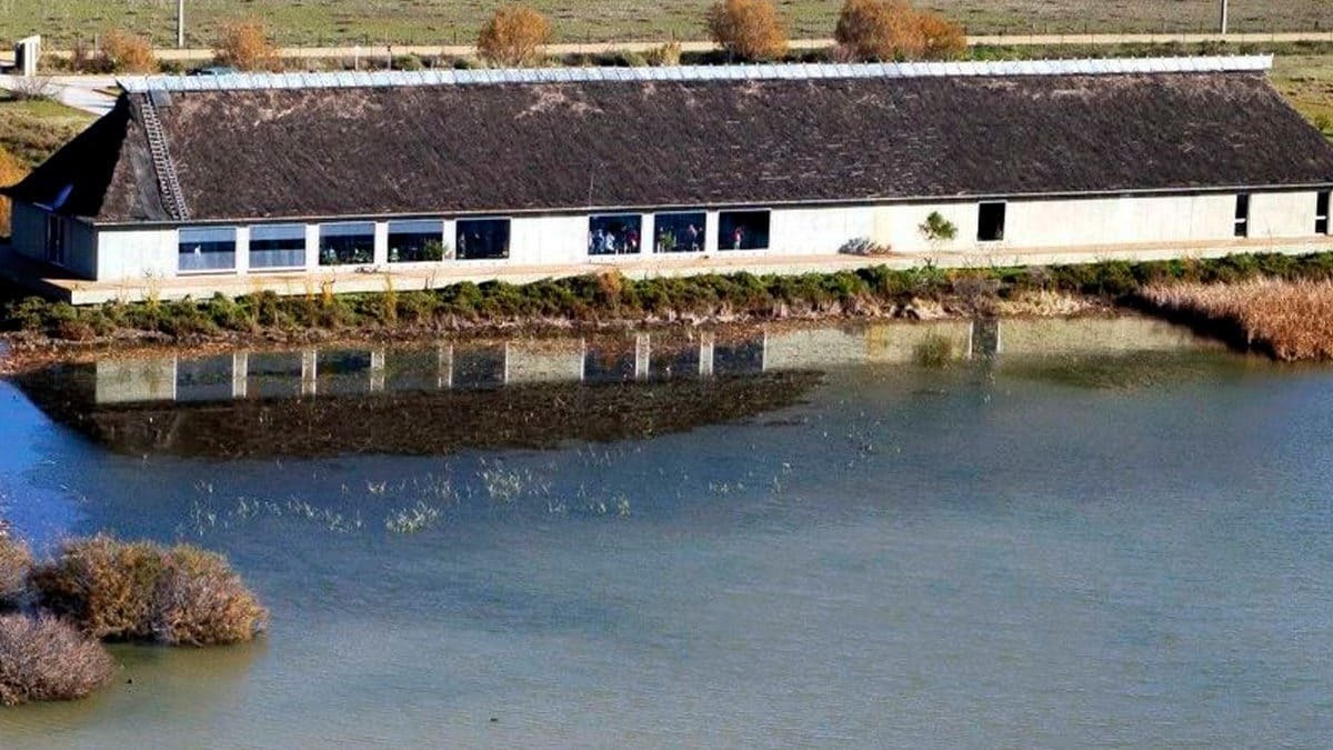 El Parque Natural de Doñana