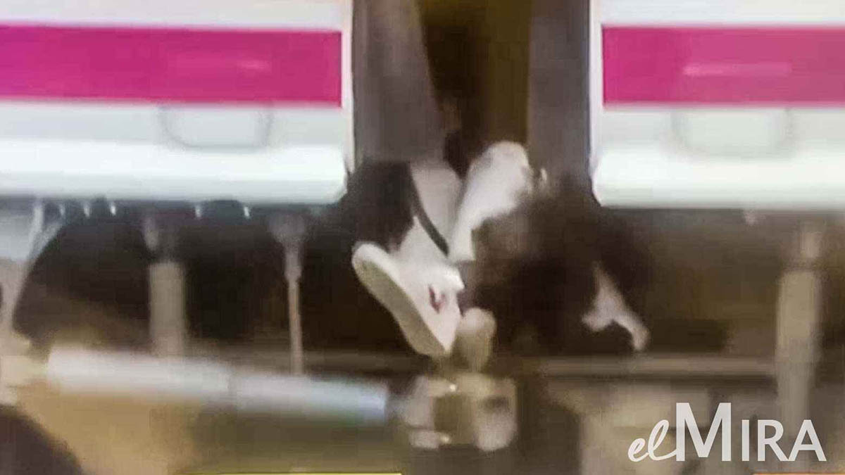 Imagen del cuerpo entre los vagones del tren