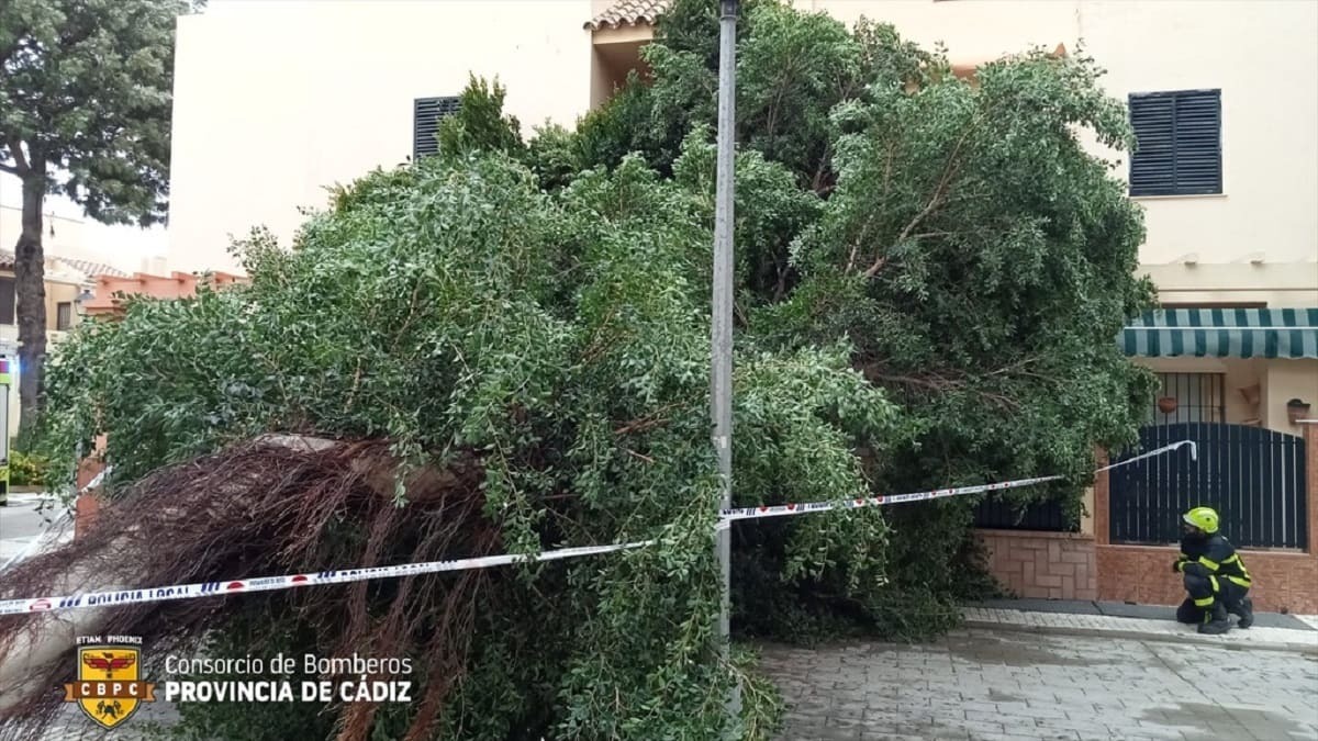 El paso de la borrasca Aline se ceba con Cádiz Múltiples destrozos y rescate de un kitesurfista