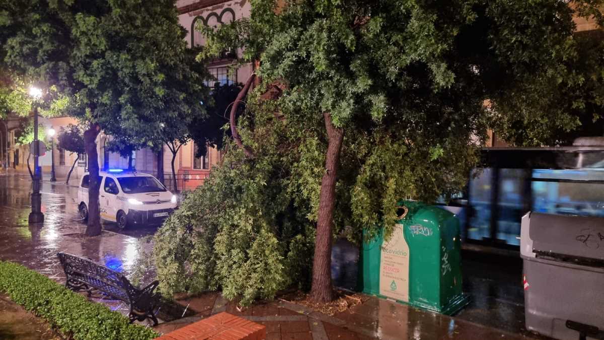 Actuación policial tras el paso de la borrasca Aline