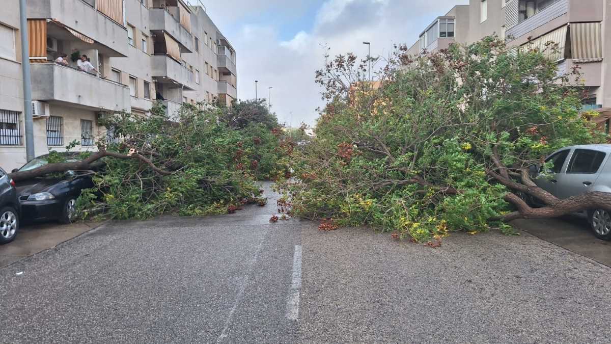 La borrasca Bernard arrasa con todo a su paso por Jerez