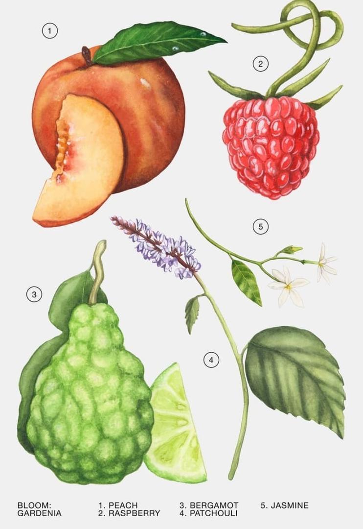 Fragancia de gardenias colección limitada Happy Holidays de Zara