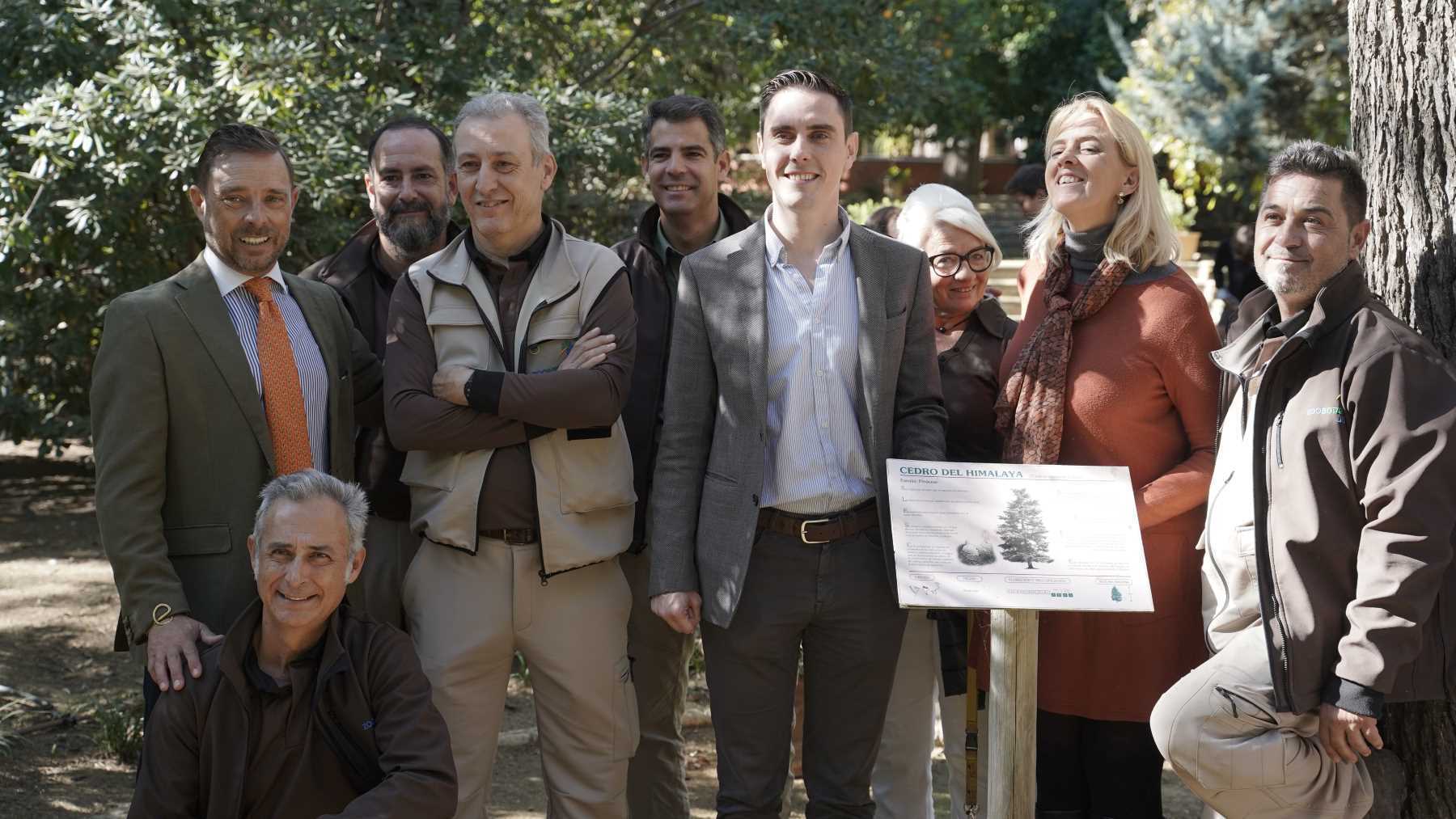 El cedro del Himalaya, en la preselección del árbol del año 2024