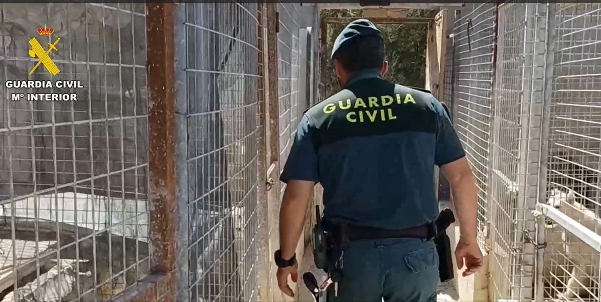 Un agente de la Guardia Civil durante la operación
