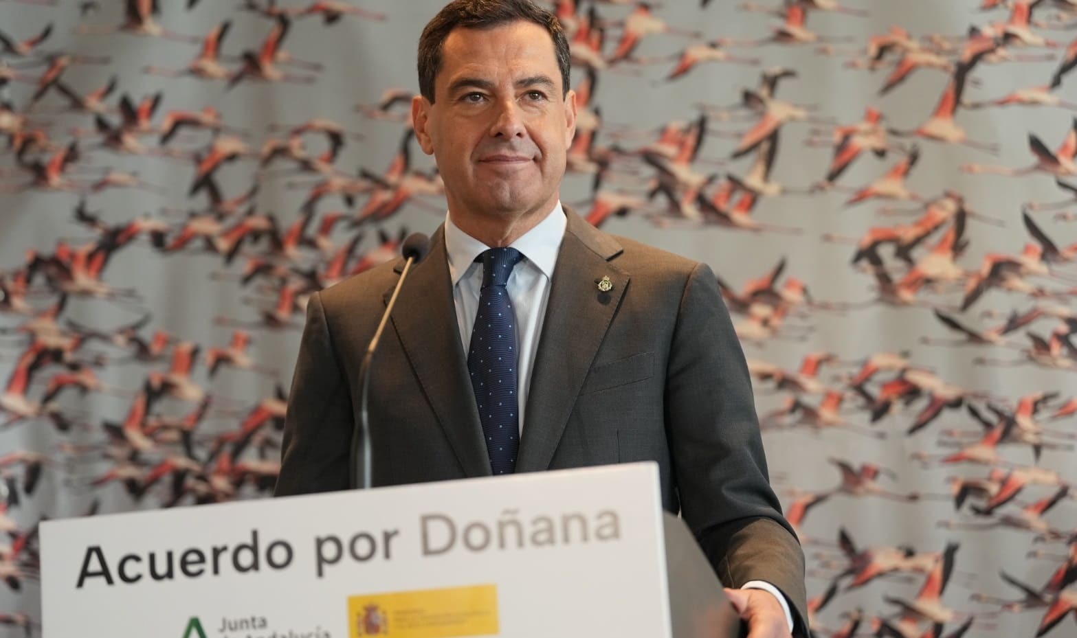 El presidente de la Junta de Andalucía Juanma Moreno (6)