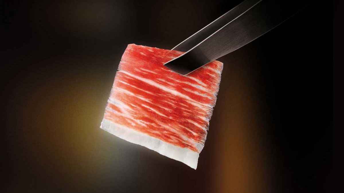 Jamón ibérico de bellota Alta Expresión de Los Pedroches en El Corte Inglés