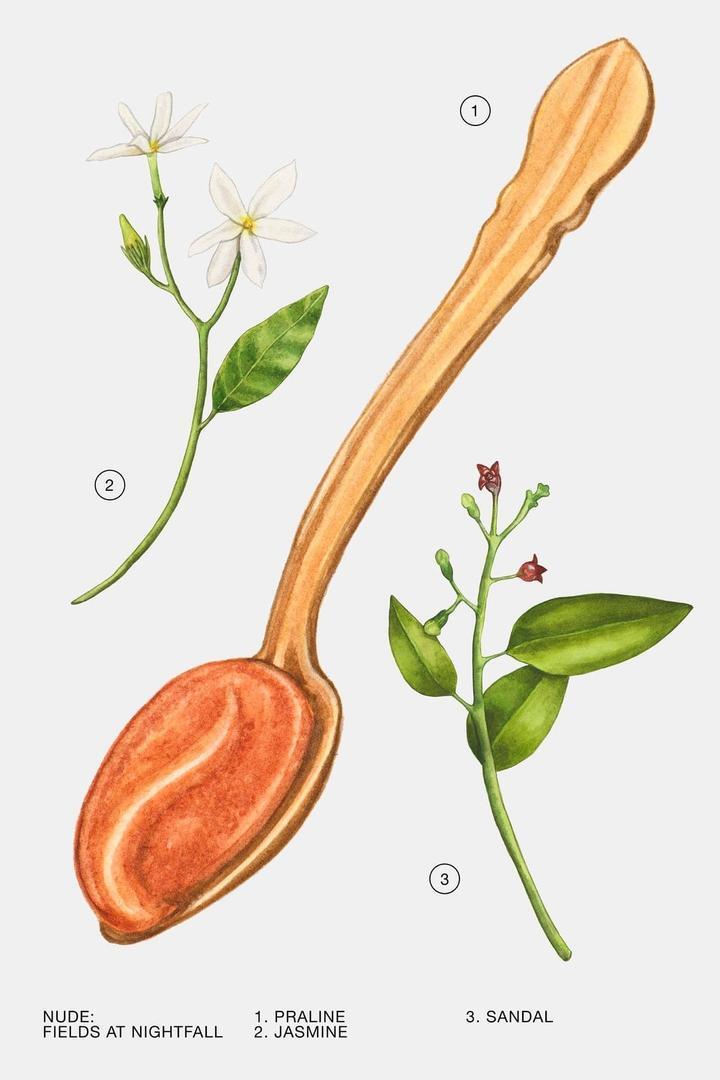 Perfume Fields at Nighfall 100 ml de Zara