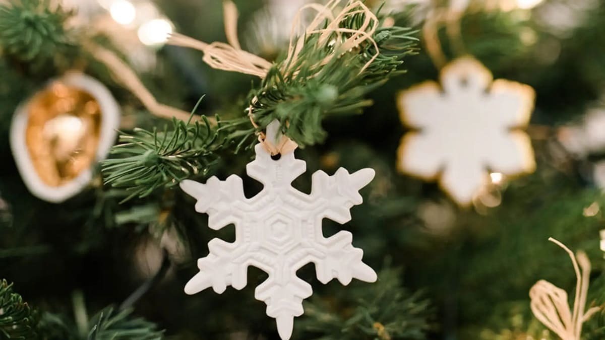 Adornos vegetales de Navidad