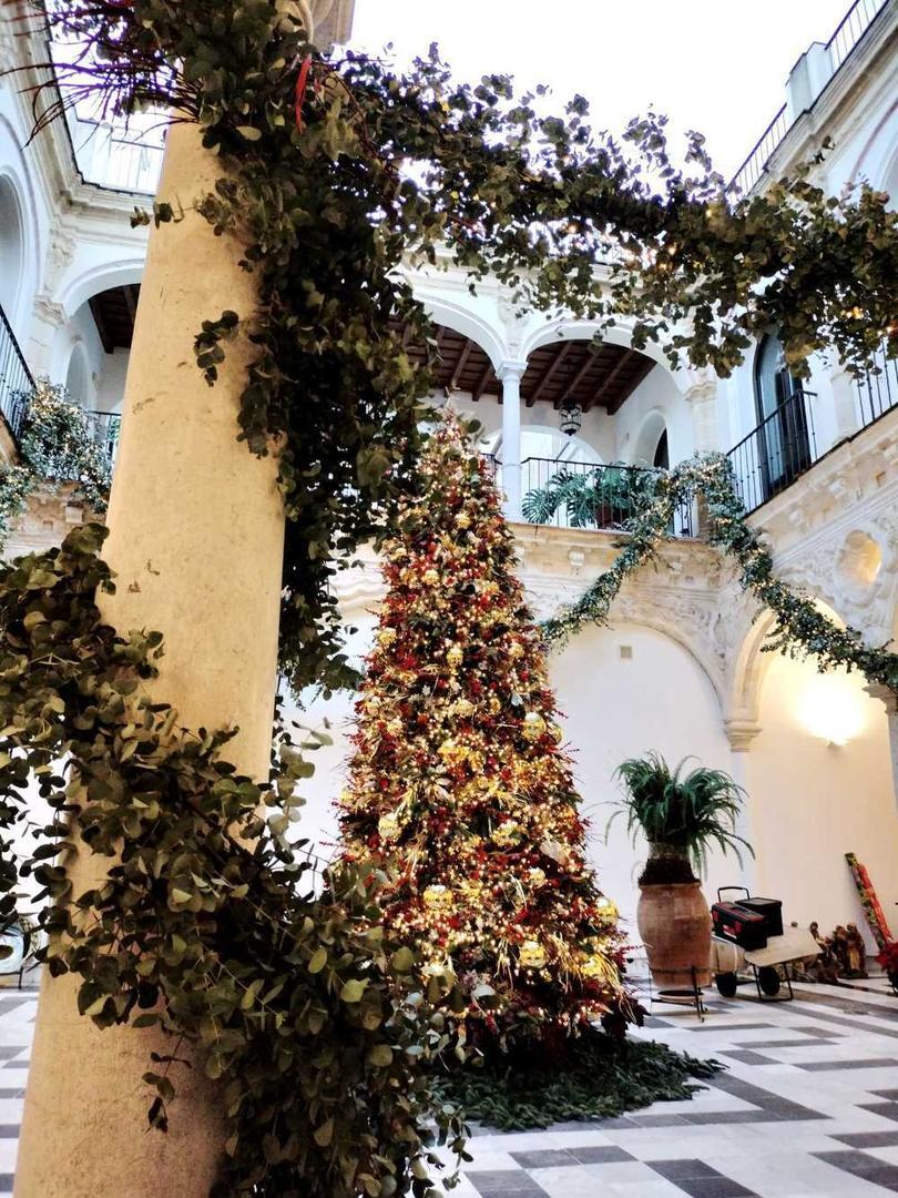 Árbol de Navidad en Bertemati