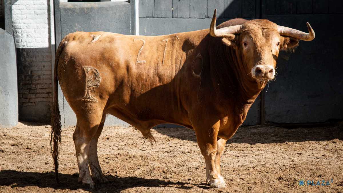 Pocaprisas I Foto Plaza 1