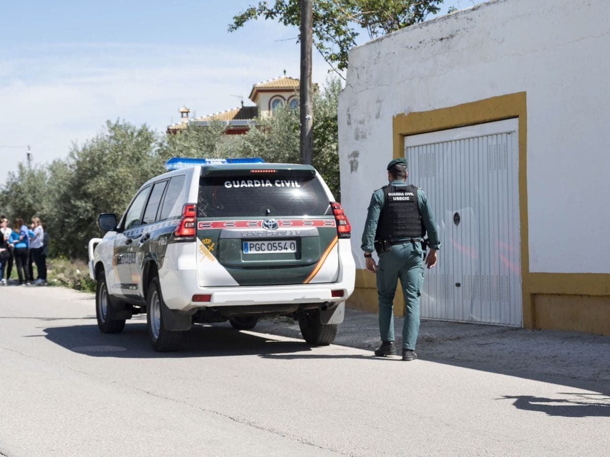 La Guardia Civil se encargó de la detención