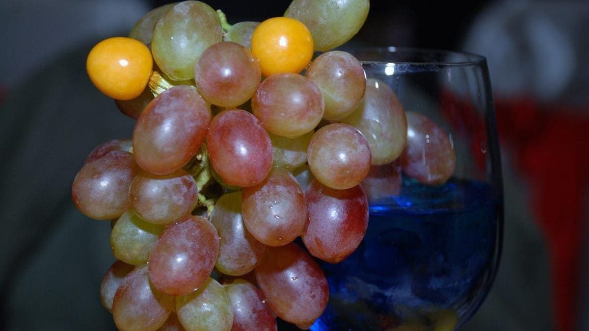 Las conocidas como uvas de la suerte