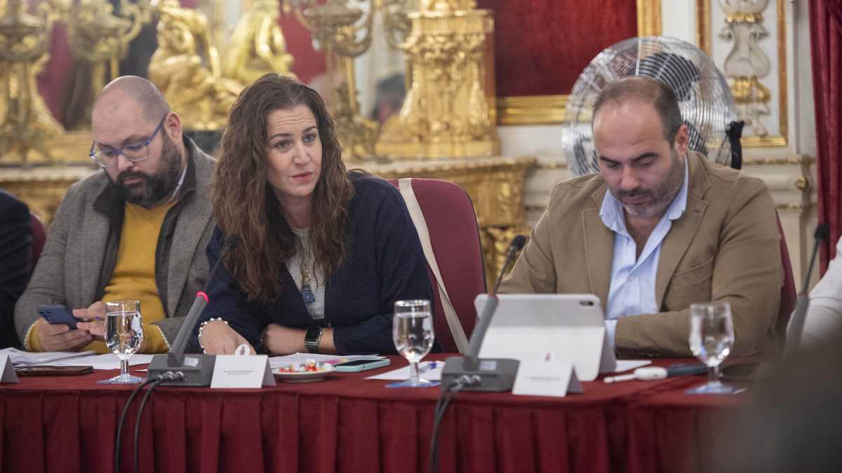 Paula Conesa, en el Pleno de noviembre