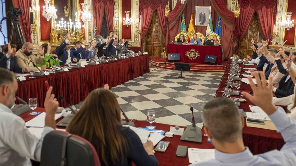 Votación en el Pleno de la Diputación