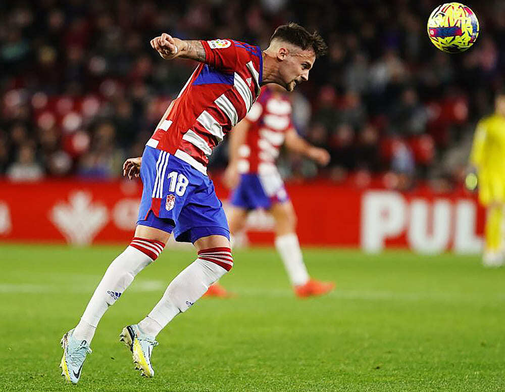 Njegos Petrovic durante un partido del Granada CF