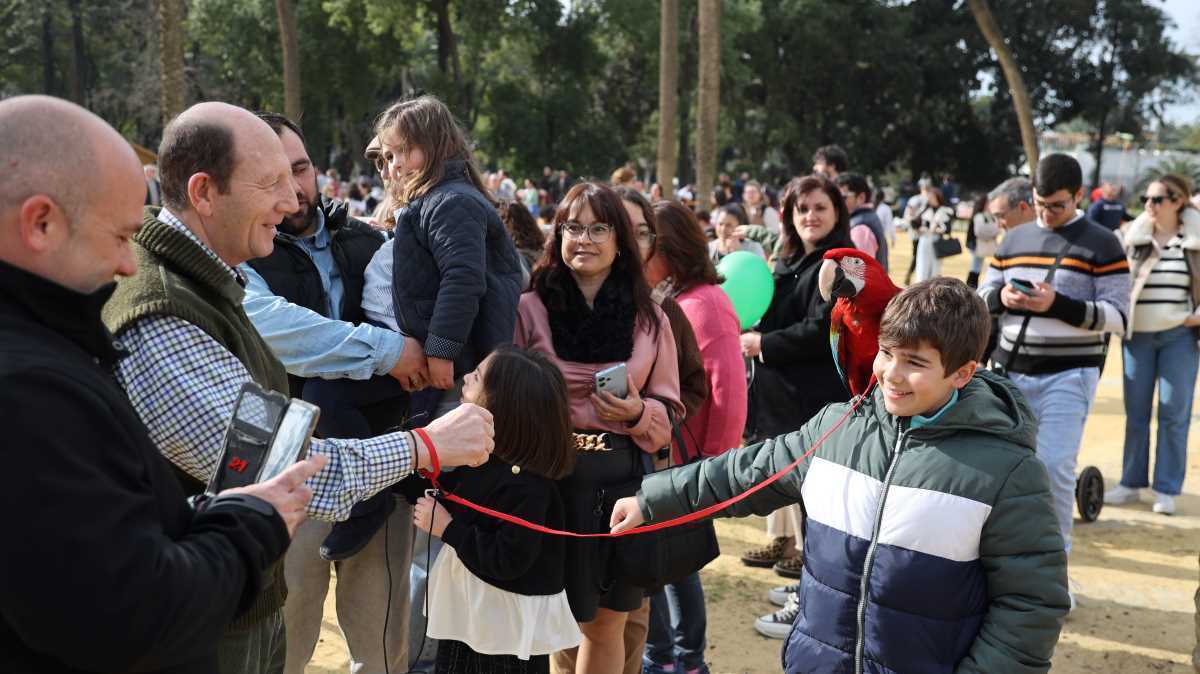 Festividad de San Antón 2024 en Jerez | Cristo García