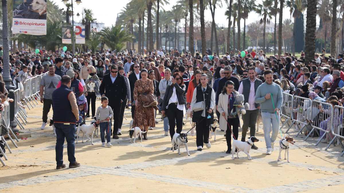 Festividad de San Antón 2024 en Jerez | Cristo García