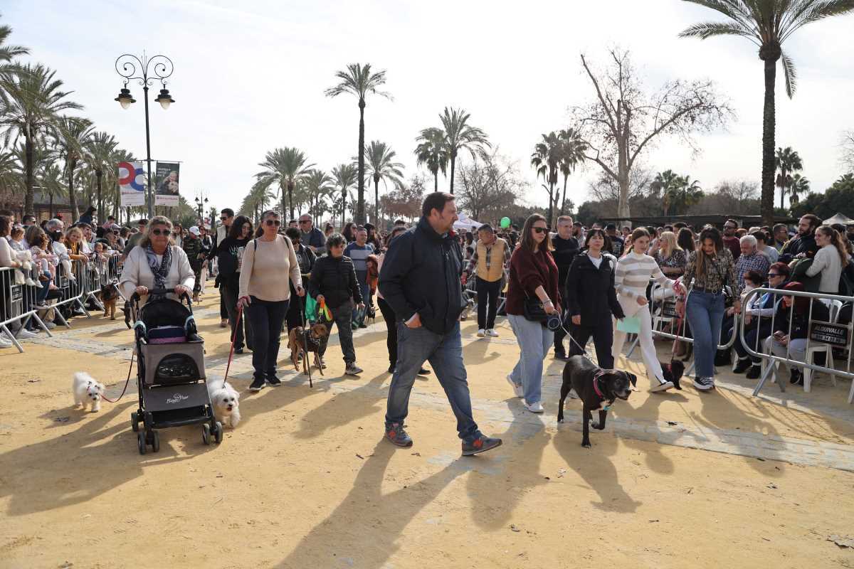 Festividad de San Antón 2024 en Jerez | Cristo García