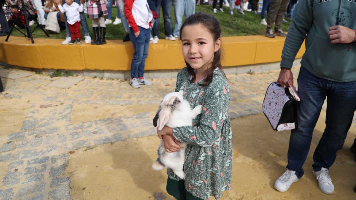 Festividad de San Antón 2024 en Jerez | Cristo García