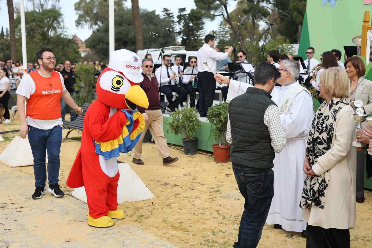 Festividad de San Antón 2024 en Jerez | Cristo García