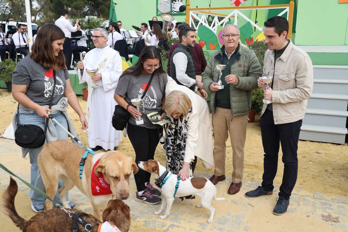 Festividad de San Antón 2024 en Jerez | Cristo García