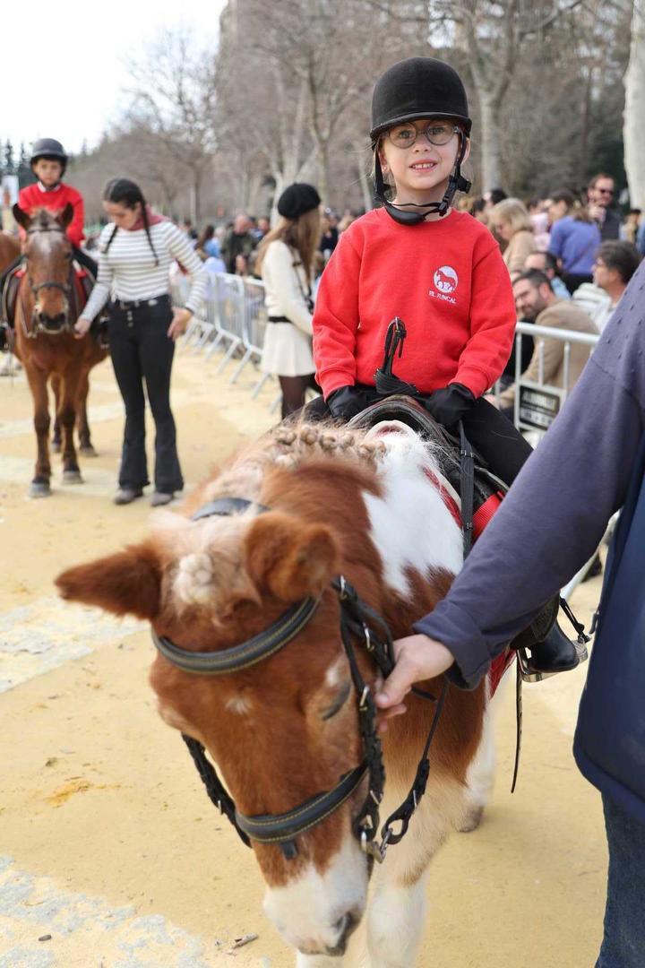 Festividad de San Antón 2024 en Jerez | Cristo García