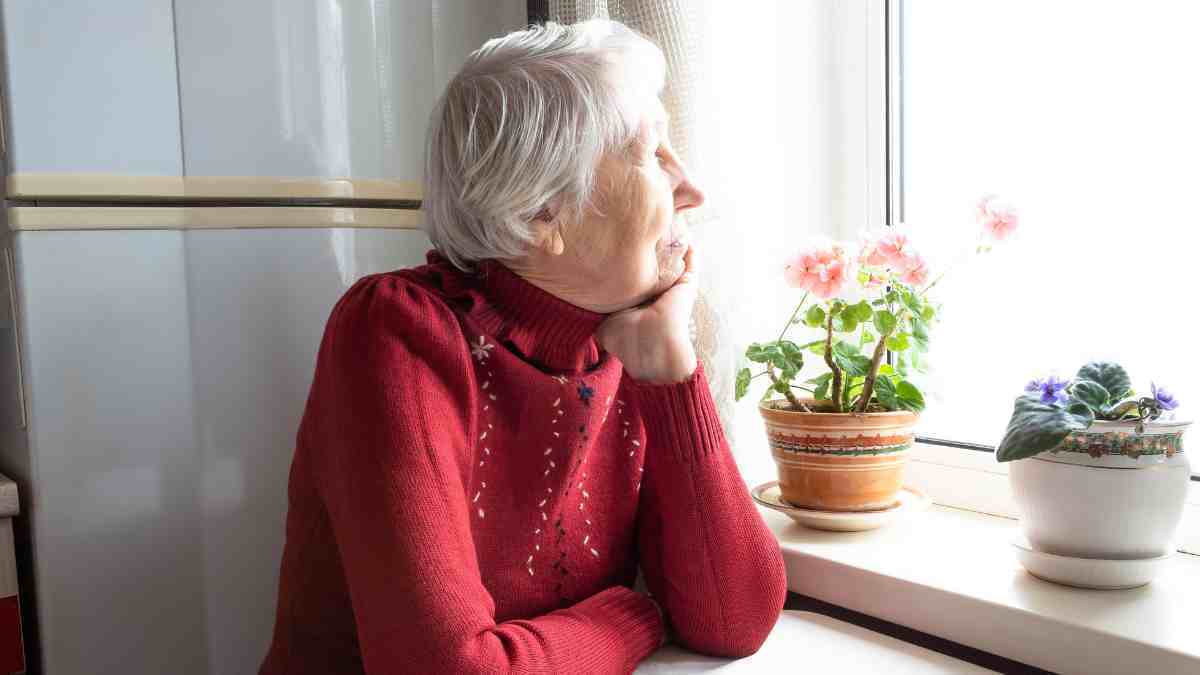 Diseño sin título (13)